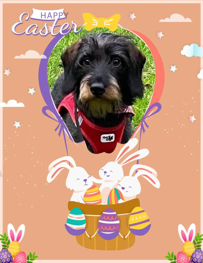 Andachtsbild von Nicole Damen