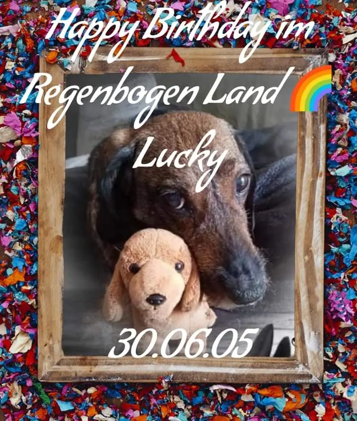 Andachtsbild von Damen Nicole