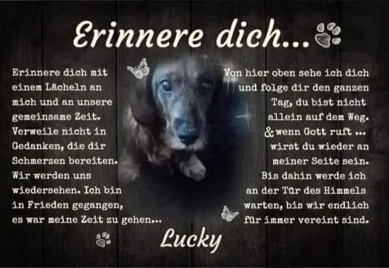 Andachtsbild von Nicole Damen