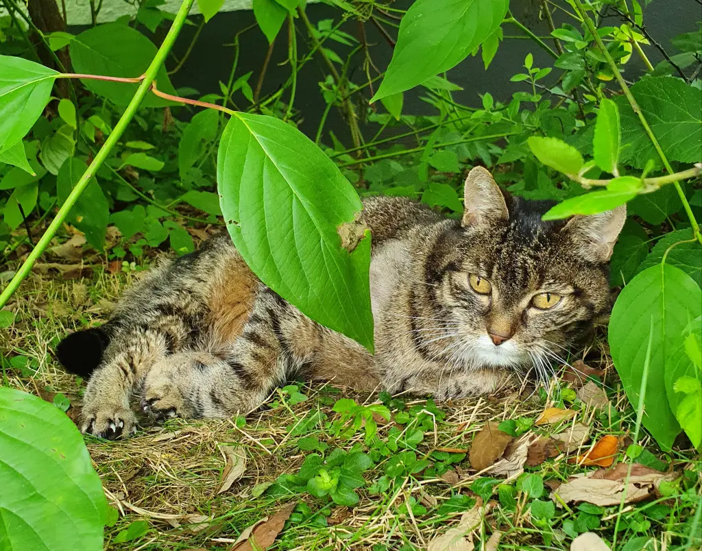 Condolence image of Melanie