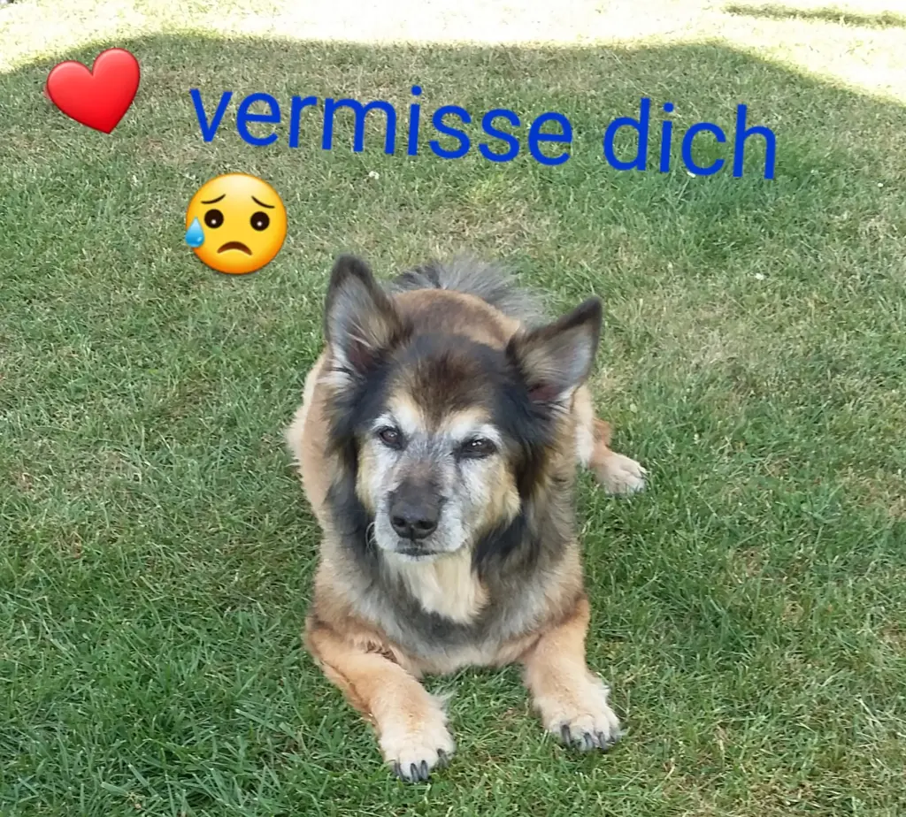 Image from Poldi