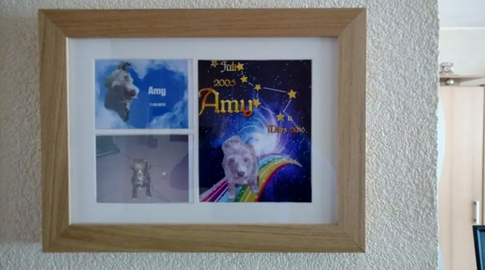 Image from Amy