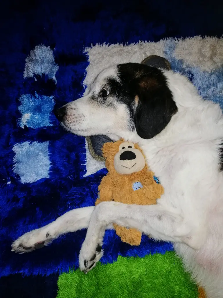 Condolence image of Gerlinde