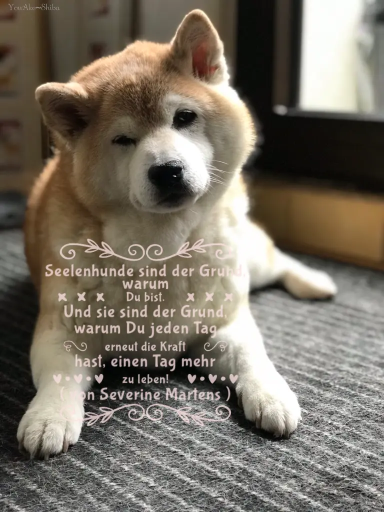Image from Akemi