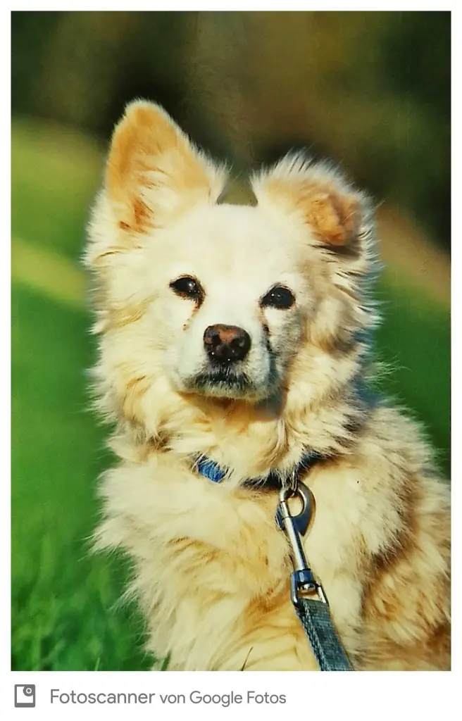 Condolence image of Ilona