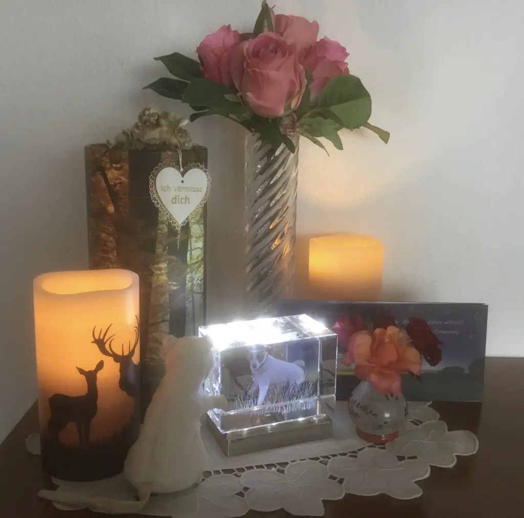 Image from Ira