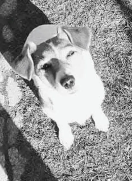 Condolence image of Nicole Kreuzer