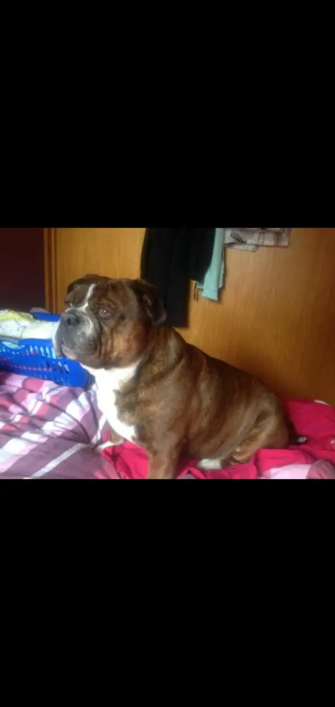 Condolence image of Leonie