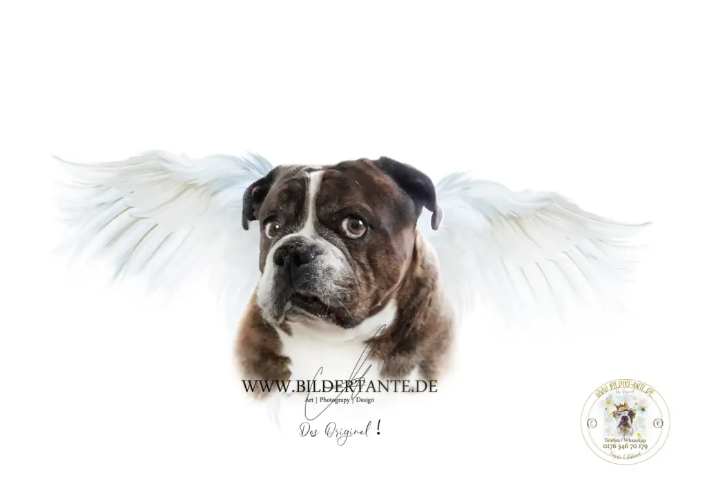 Condolence image of Die Bildertante