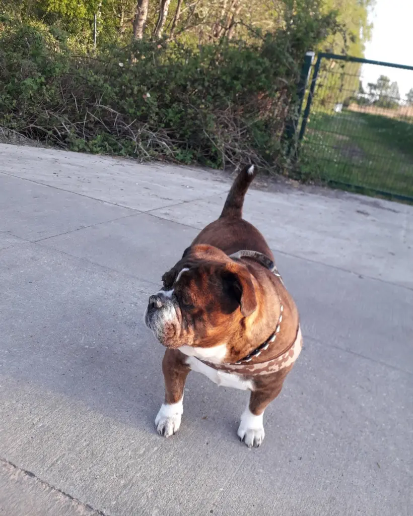 Image from Oskar