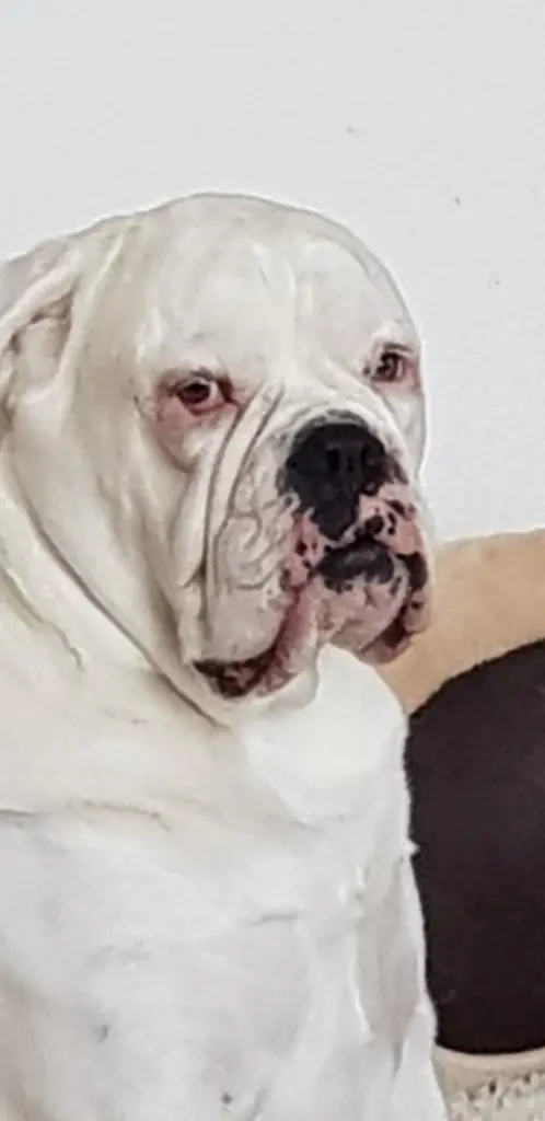 Condolence image of Kathy