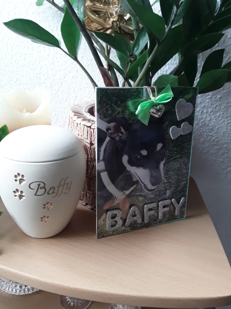Condolence image of Cerstin mit Baffy im Herzen ❤