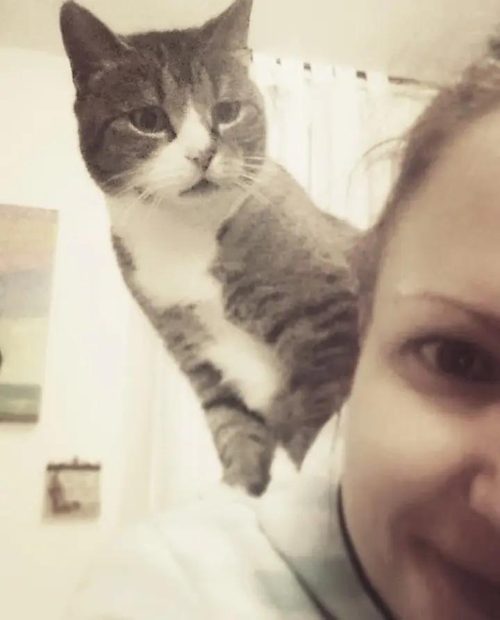 Image from Whiskey 