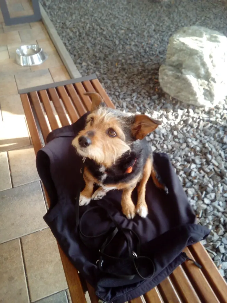 Image from Trixi