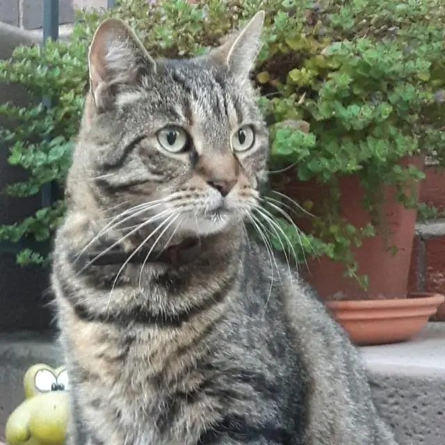 Condolence image of Kirsten