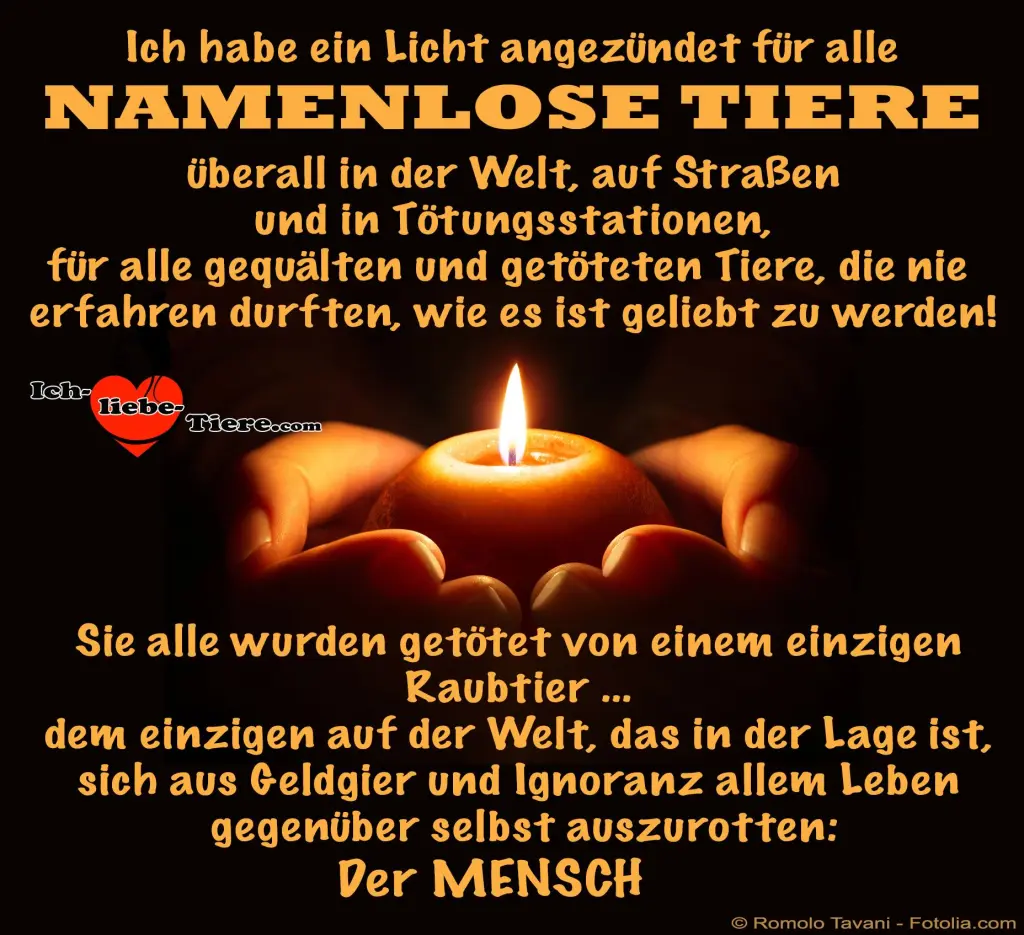 Condolence image of Jutta mit Purzel tief im Herzen✟08.05.2016