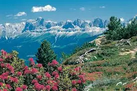 Image from Vergessene