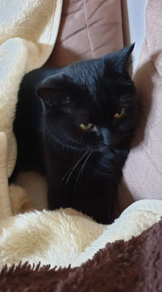 Condolence image of Sabrina