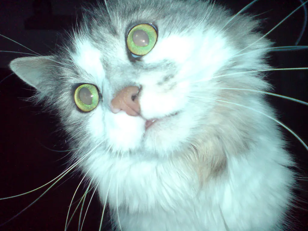 Condolence image of Sim
