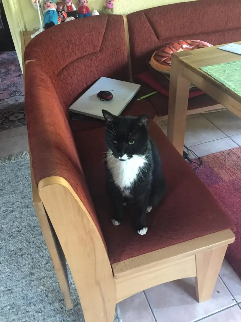 Andachtsbild von Unbekannt