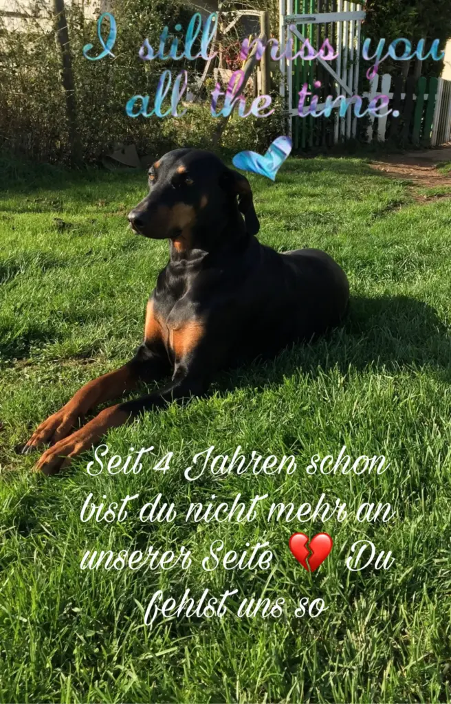 Condolence image of Sabrina Klein-Schmidt 