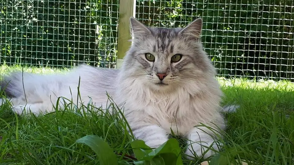 Condolence image of Bianka