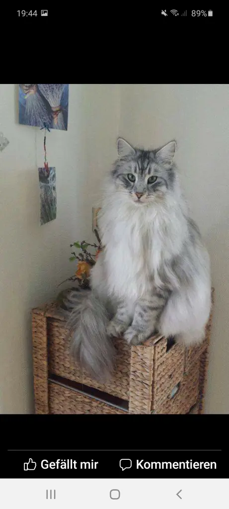 Condolence image of Bianka