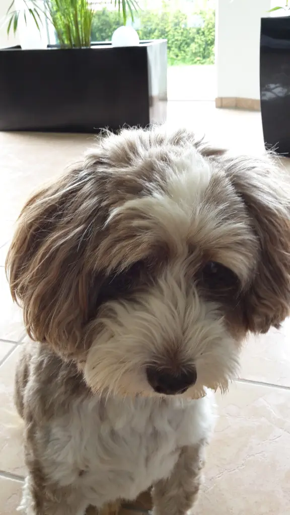 Condolence image of Bettina