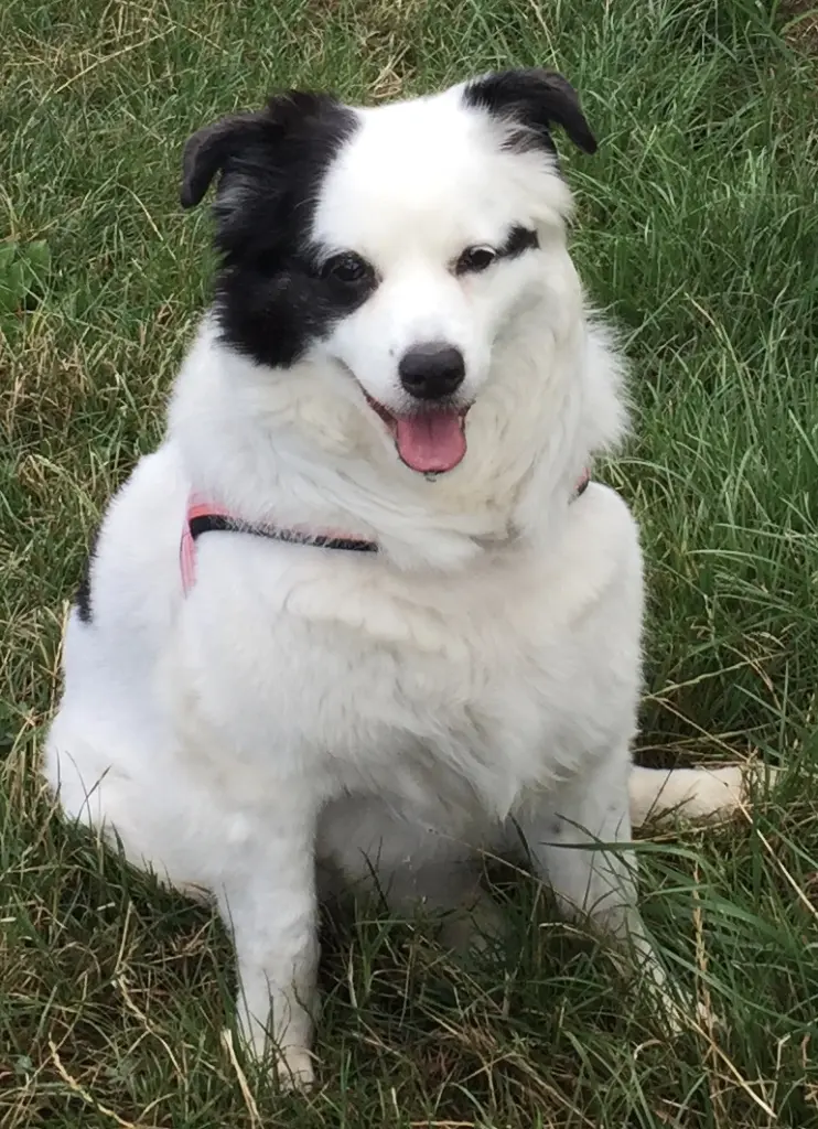 Condolence image of Für Sam ❤️
