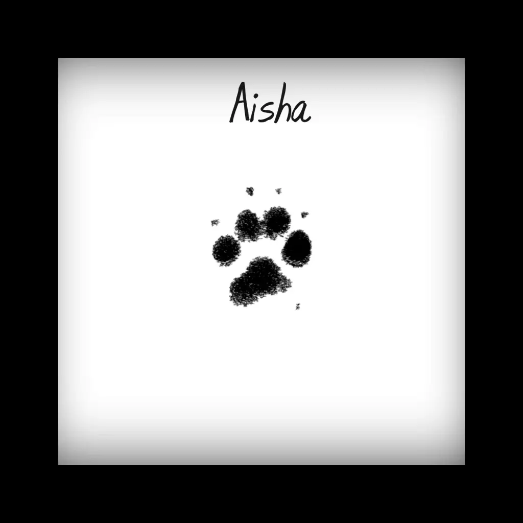Image from Aisha