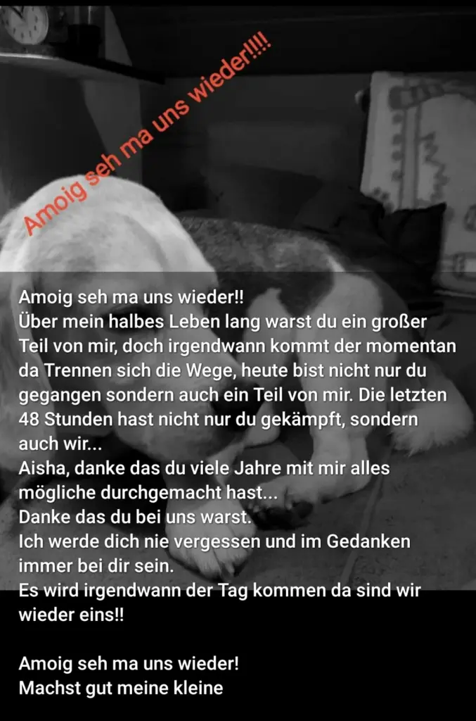 Image from Aisha