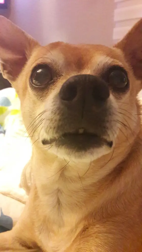 Condolence image of Beate