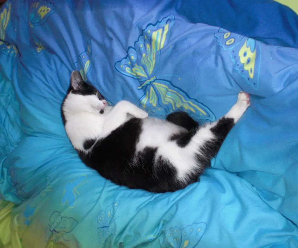 Andachtsbild von Karin und Andreas