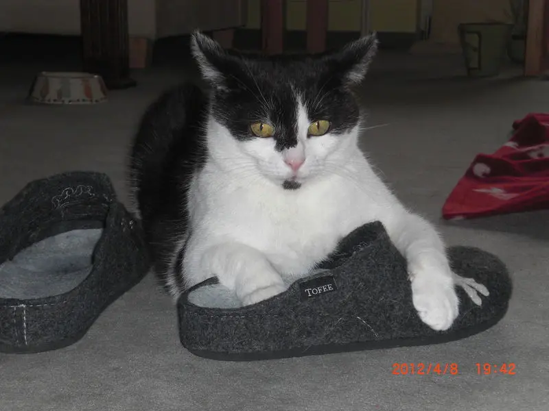 Andachtsbild von Karin & Andreas