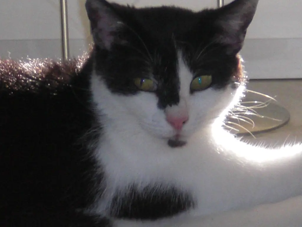 Andachtsbild von Karin & Andreas