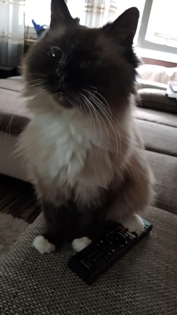 Condolence image of Oliver