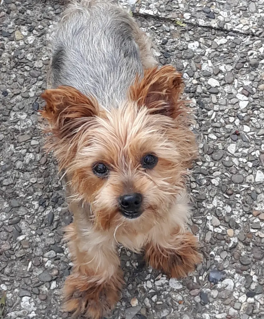 Bild von Tessa