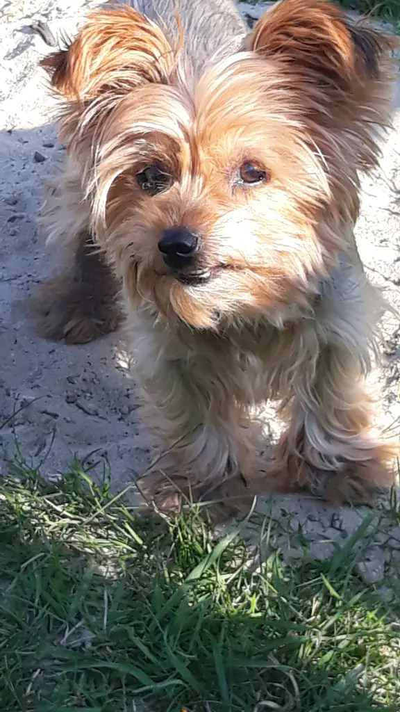 Bild von Tessa