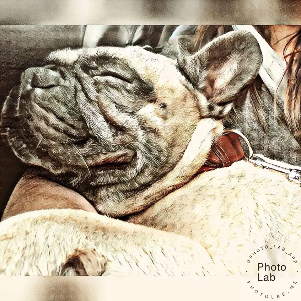 Condolence image of Tina