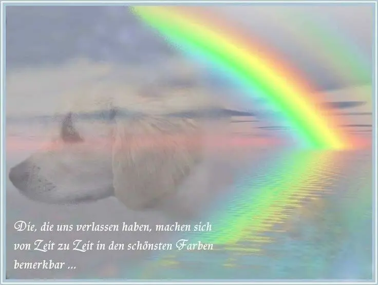 Condolence image of Andrea mit Minki im ❤ gest.19.10.20