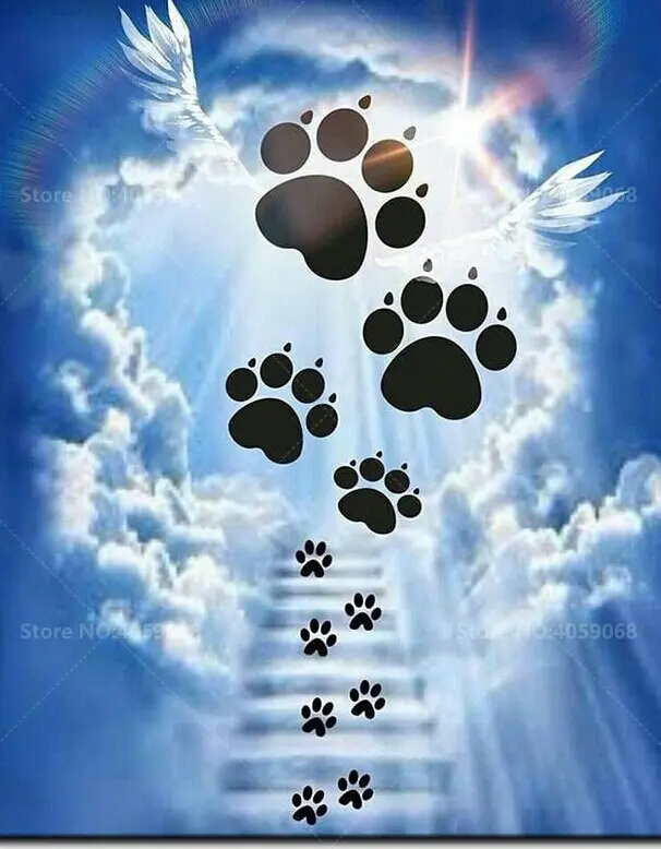 Condolence image of Sabine mit Luna im Herzen 