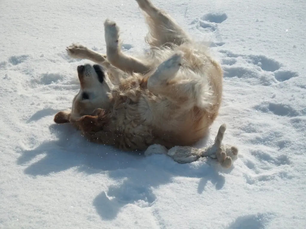 Condolence image of karin pithan