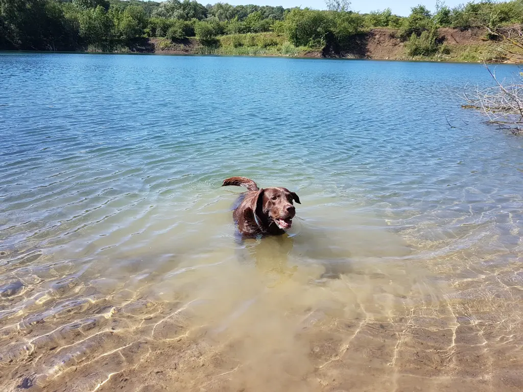 Condolence image of Silvana 