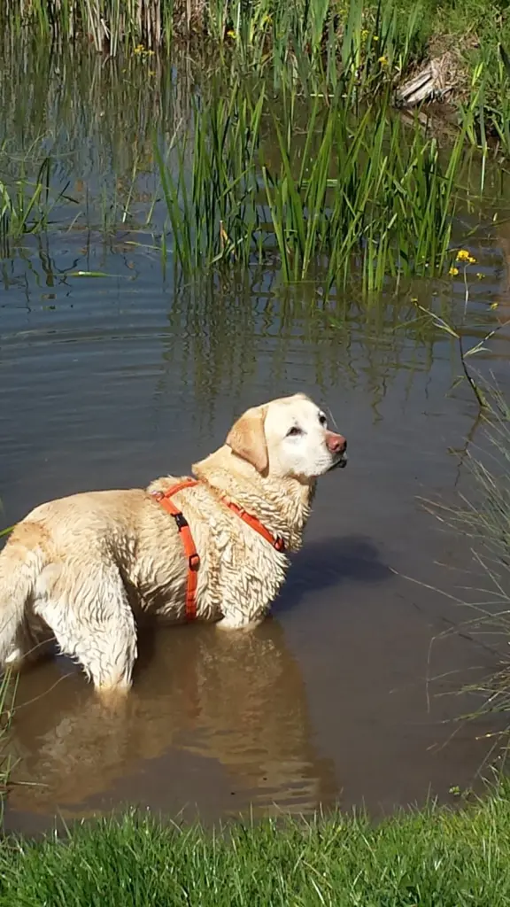 Condolence image of Nicole