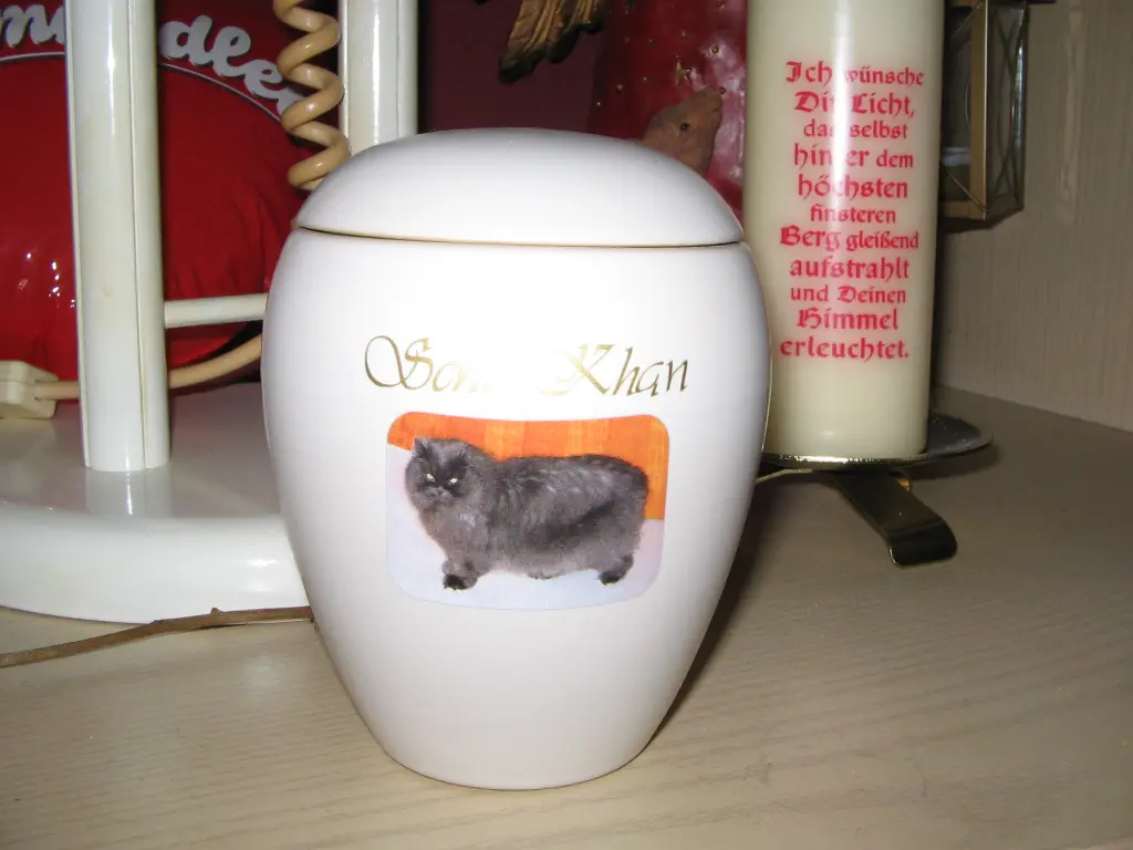 Image from Schir-Khan