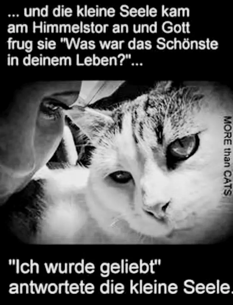 Condolence image of Deine Mama