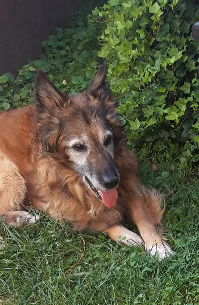 Condolence image of Sandra