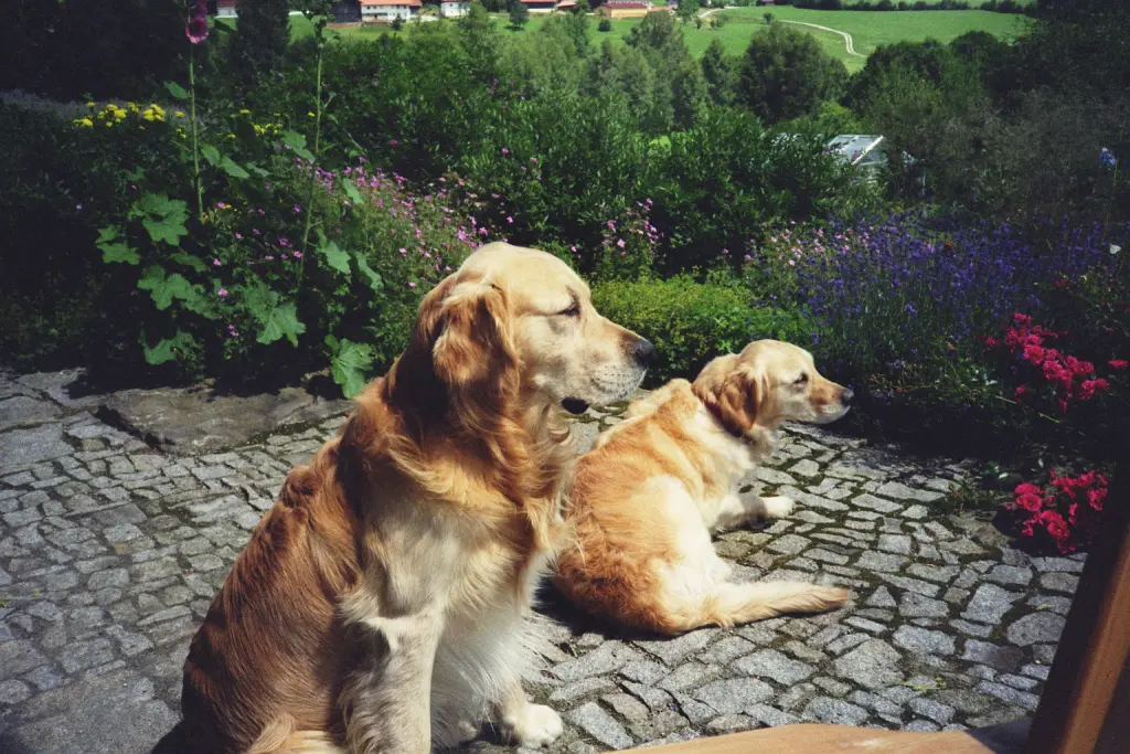 Image from bobby, sandy und nando