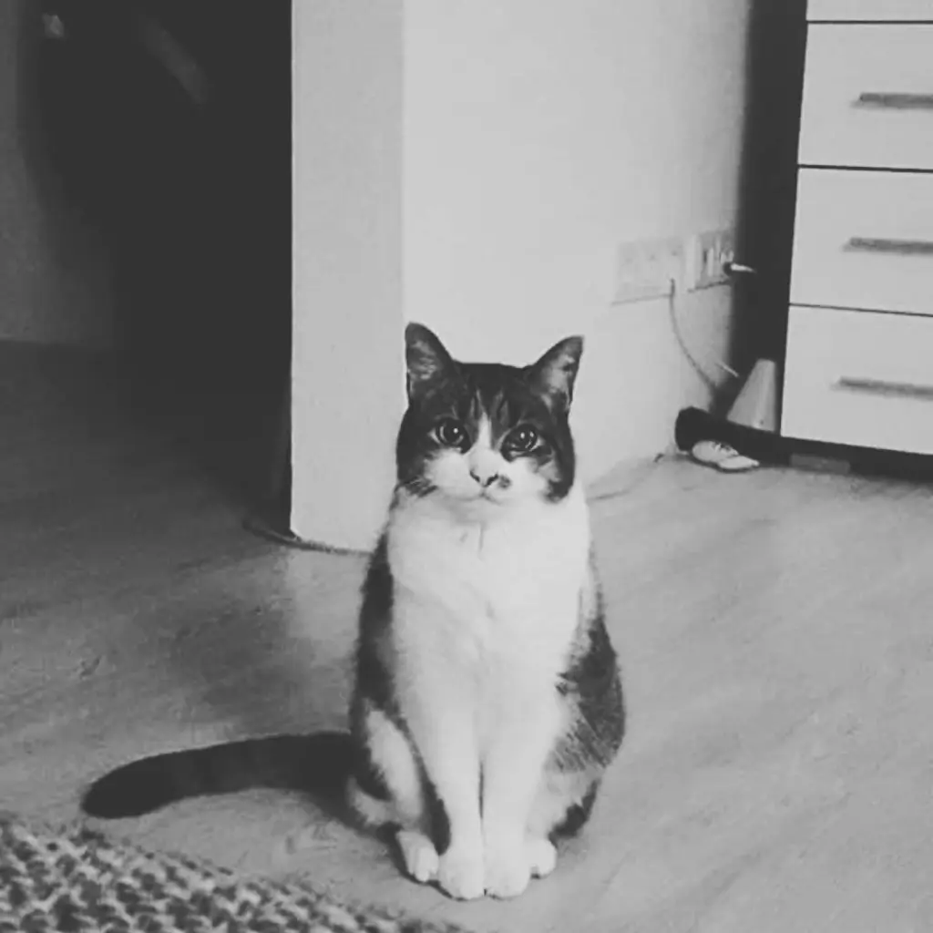 Condolence image of Bianca