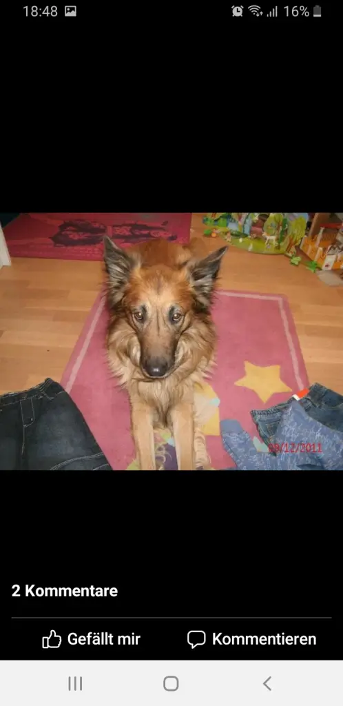 Condolence image of Sandra